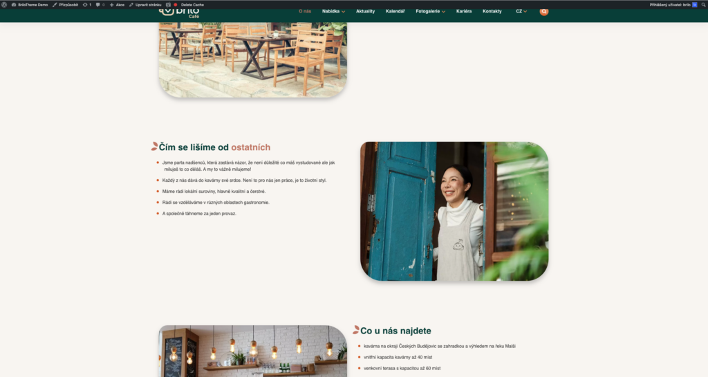 Brilo nápověda - ukázka změny barvy slova na webu