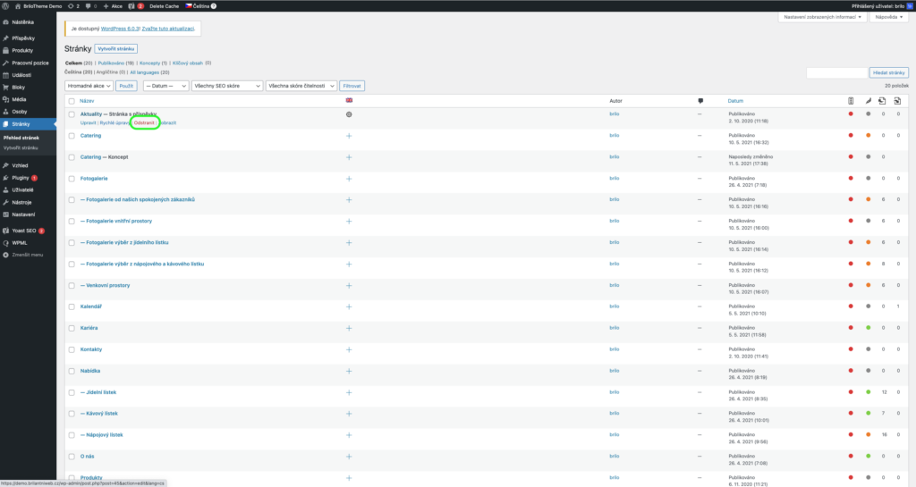 Brilo nápověda - mazání položek s přehledu