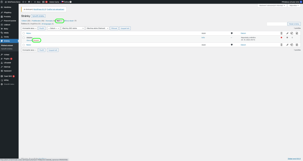 Brilo nápověda - odstranění položek z koše v přehledu